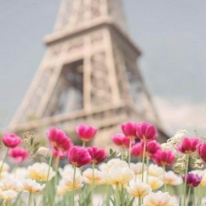 Meet your Posher, Nur